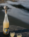Raku Oyster Shell Wine Stoppers