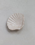 Lunaria Scallop Shell