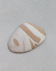 Marbled Clam Shell