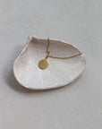 Marbled Clam Shell