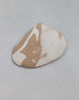 Marbled Clam Shell