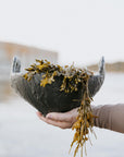 Charcoal Driftline Bowl