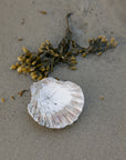 Raku Scallop Shell