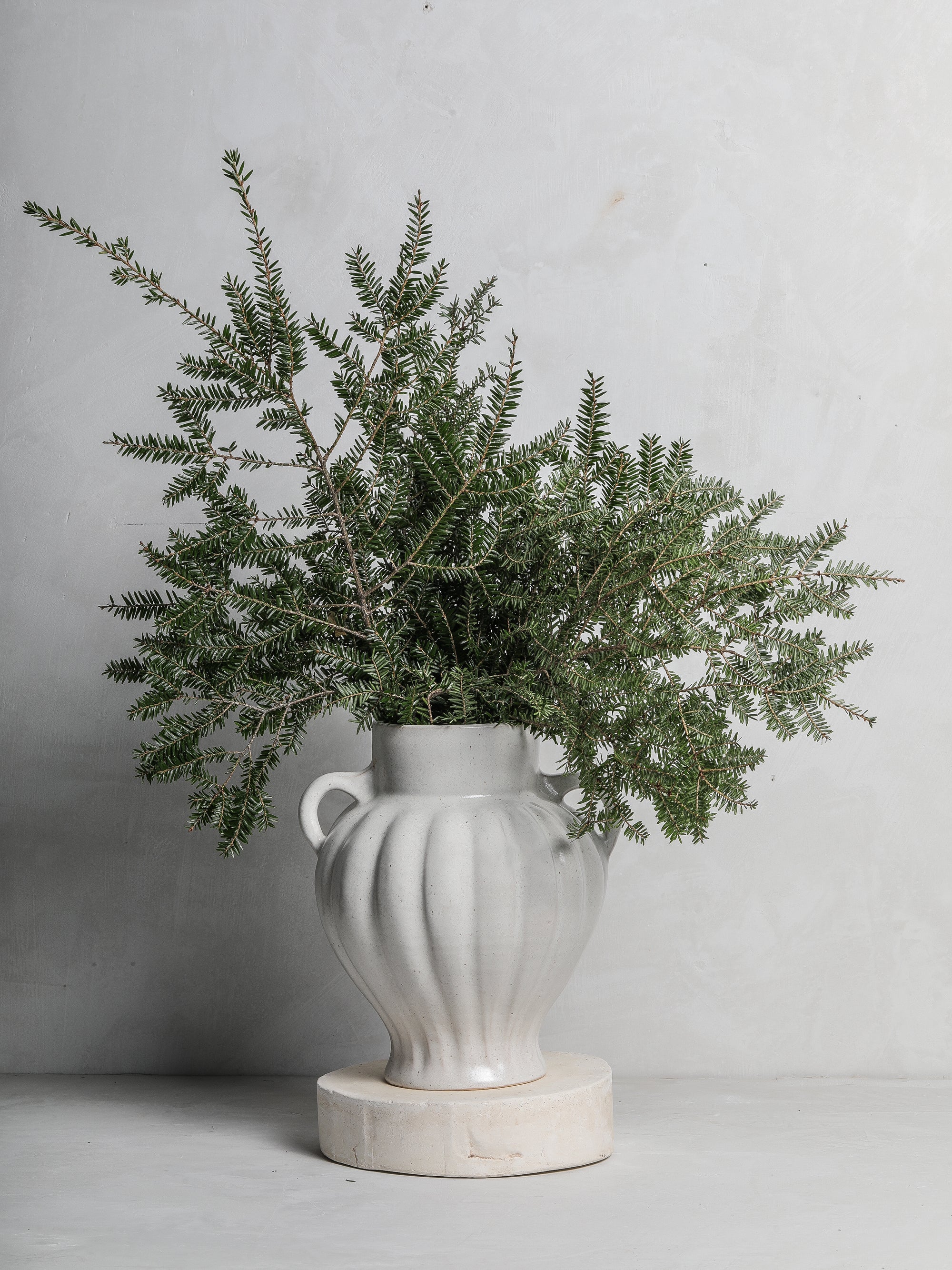 French Scalloped Vase II in Lunaria