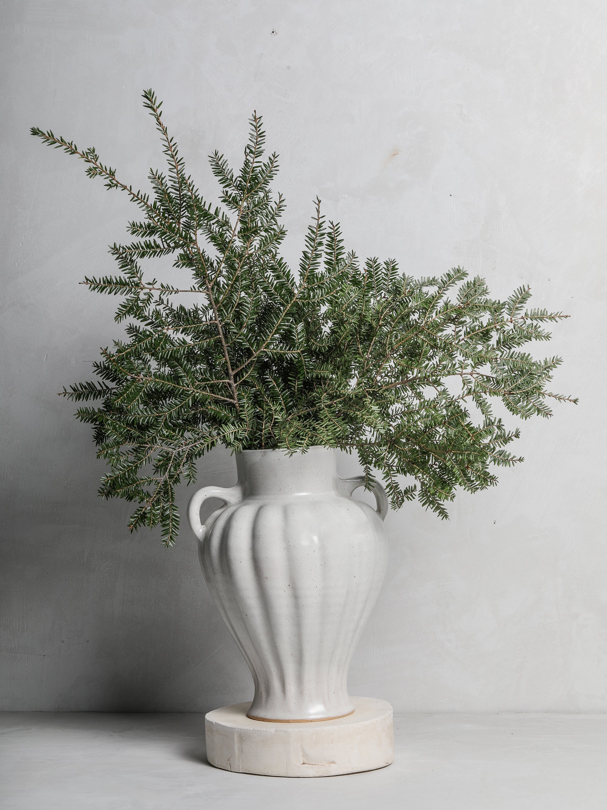 French Scalloped Vase I in Lunaria
