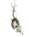 Raku Hanging Cone Planter